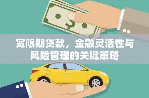 金门宽限期贷款，金融灵活性与风险管理的关键策略