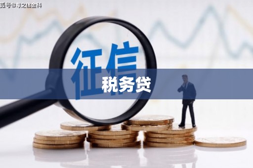 金门税务贷