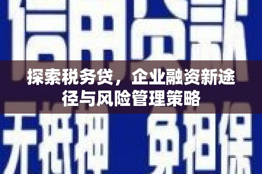 金门探索税务贷，企业融资新途径与风险管理策略