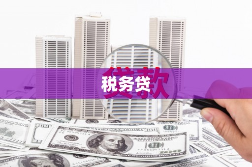 金门税务贷