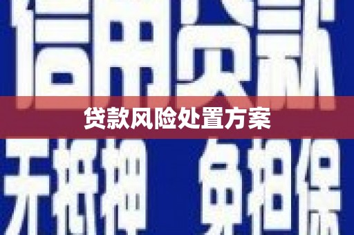 金门贷款风险处置方案
