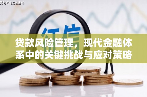 金门贷款风险管理，现代金融体系中的关键挑战与应对策略