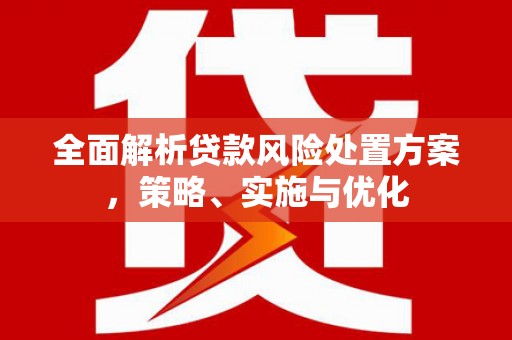 金门全面解析贷款风险处置方案，策略、实施与优化