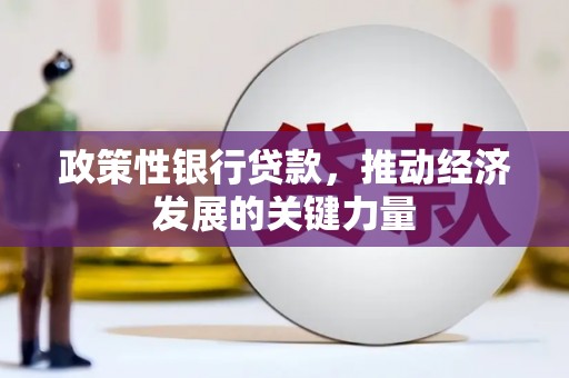 金门政策性银行贷款，推动经济发展的关键力量