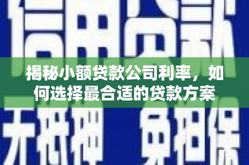 金门揭秘小额贷款公司利率，如何选择最合适的贷款方案