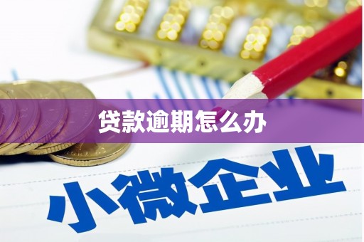金门贷款逾期怎么办