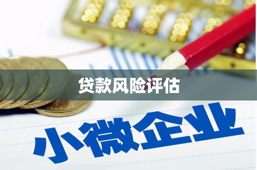 金门贷款风险评估