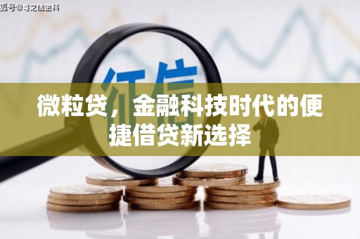 金门微粒贷，金融科技时代的便捷借贷新选择