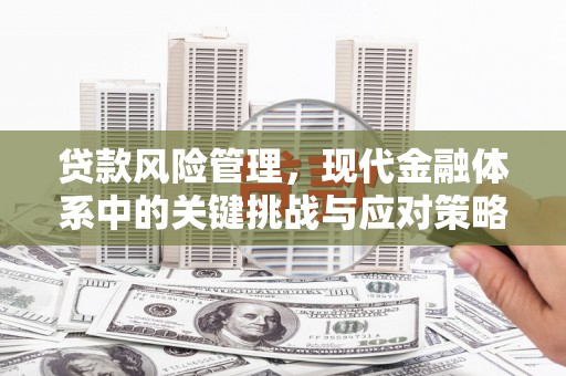 金门贷款风险管理，现代金融体系中的关键挑战与应对策略