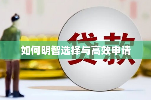 金门如何明智选择与高效申请