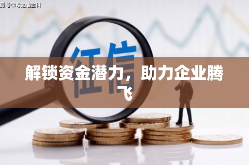 金门解锁资金潜力，助力企业腾飞