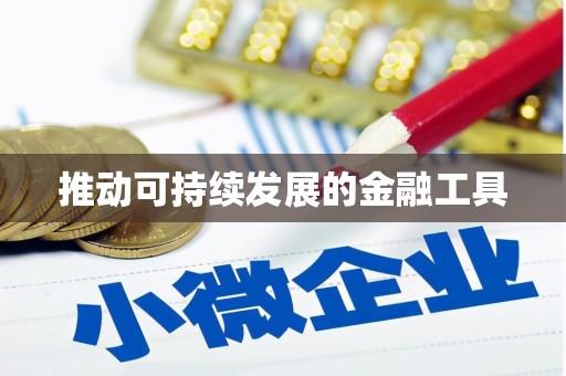 金门推动可持续发展的金融工具