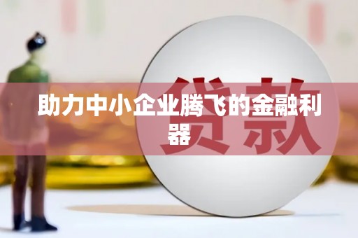 金门助力中小企业腾飞的金融利器